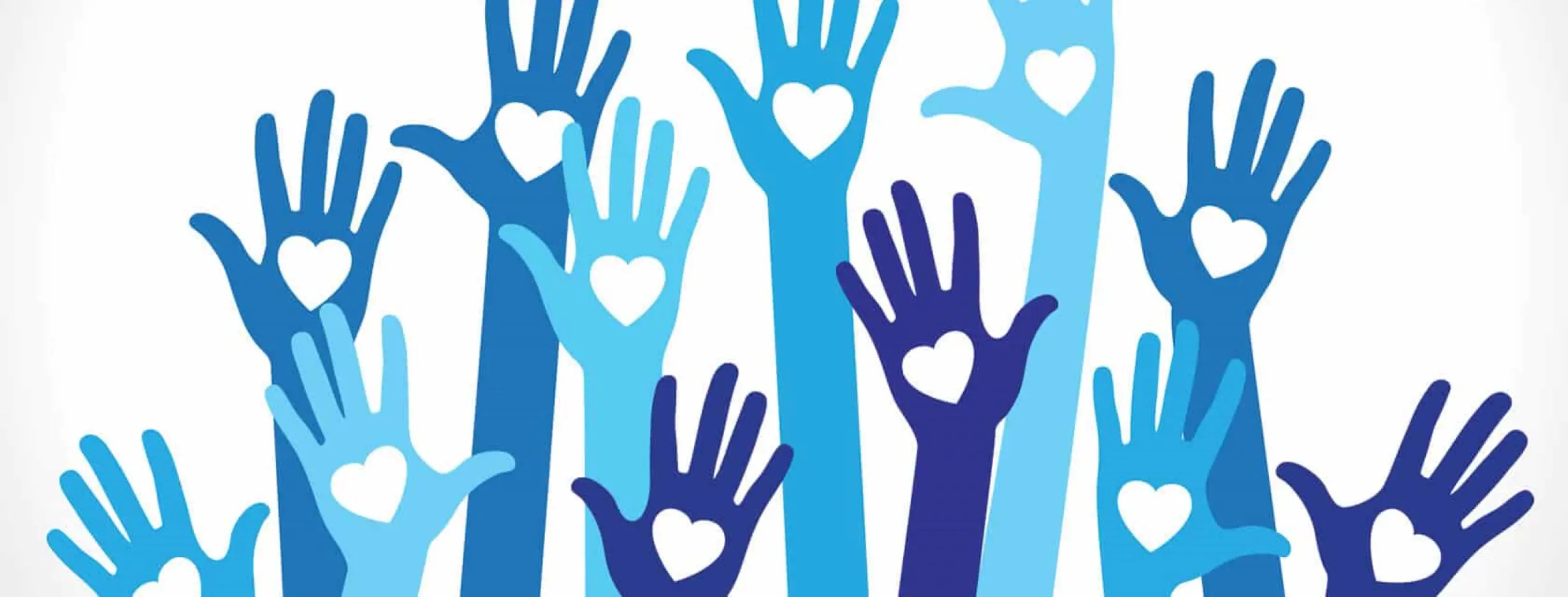 Image for Volunteer Opportunity